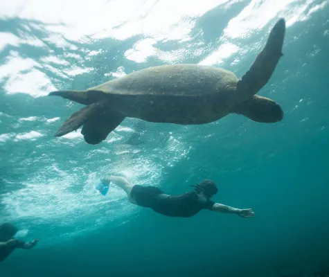 Galapagos Ultramarathon