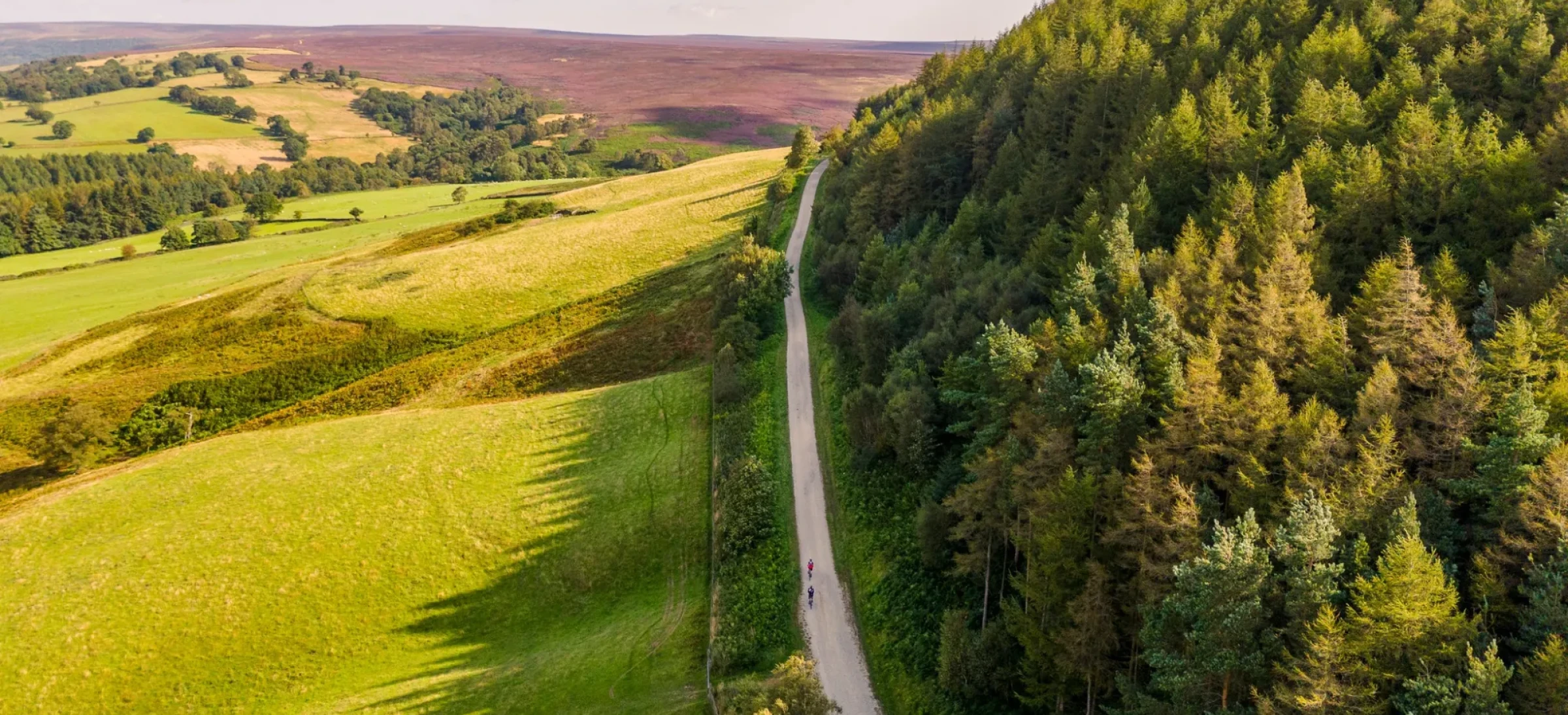 Road running next to forest and fields