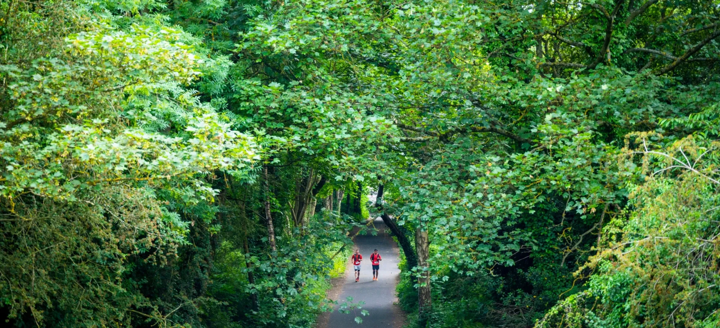 People running along path in forest