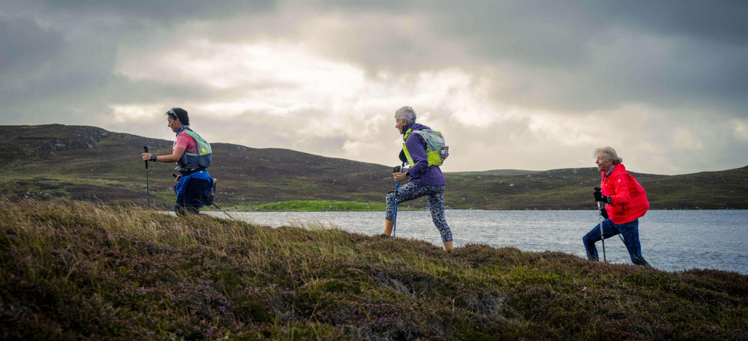 low res shetland-806071