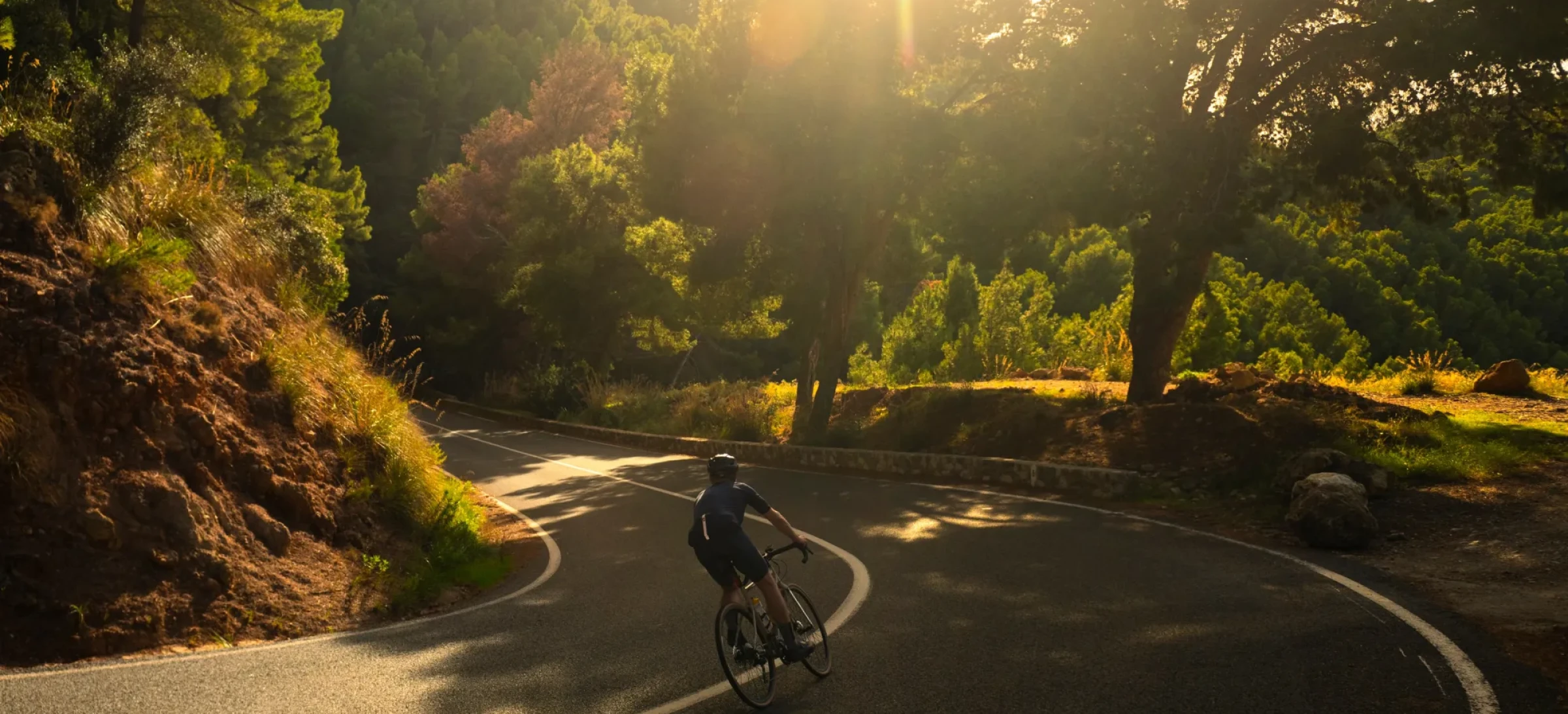 A lone cyclist leans into a bend in the road, with sunlight shining down and colourful trees lining the route