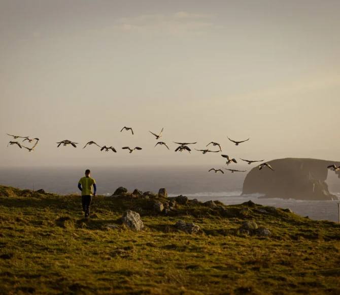Man running along coast with birds flying above him