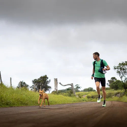 Man and dog running along a road