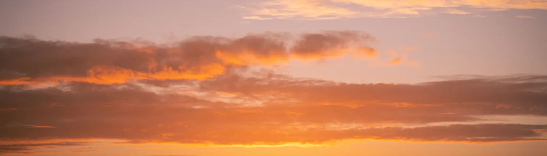 Silhouettes of participants looking out to colourful sky