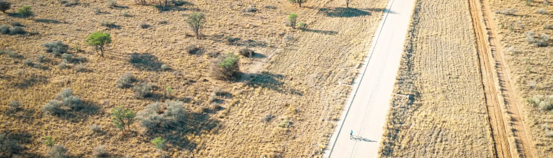 Woman cycling along road with sparse trees either side