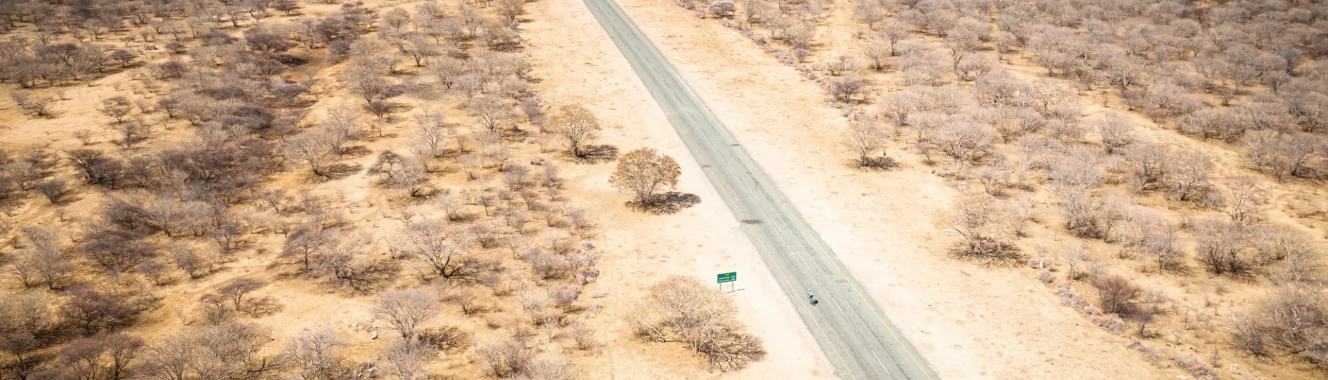 Road through desert and sparse trees