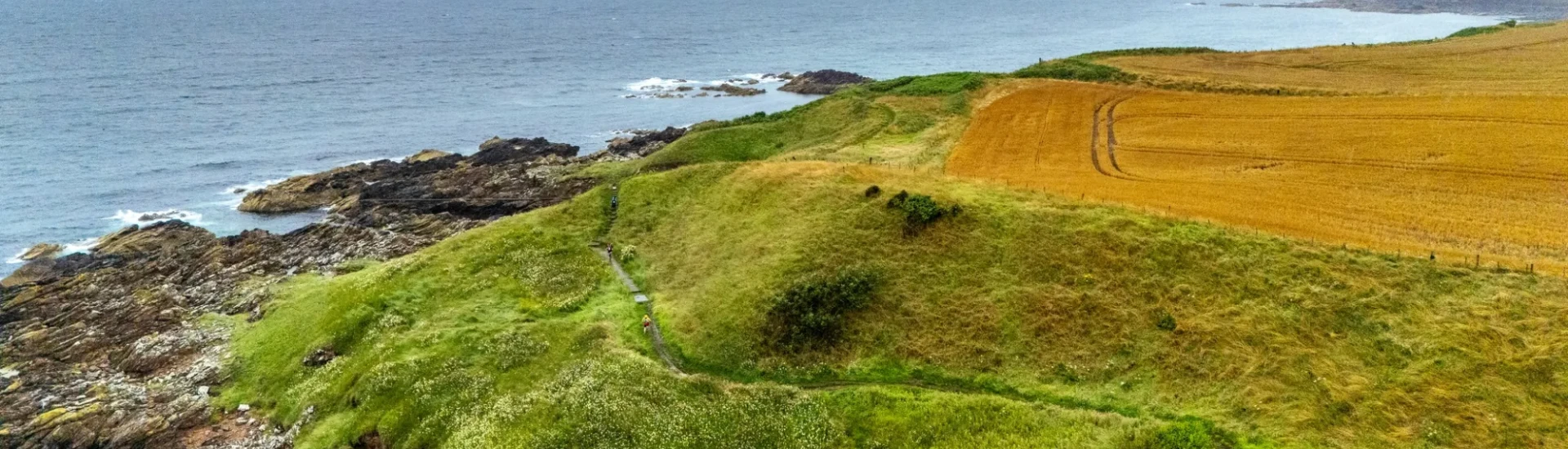 Greenery and coastal path