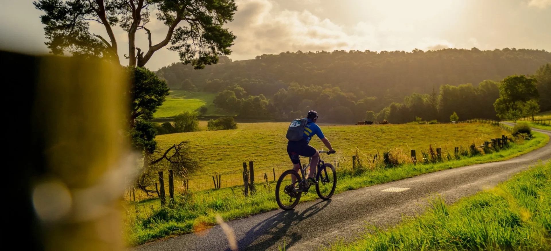 Cyclist riding on sunlit road