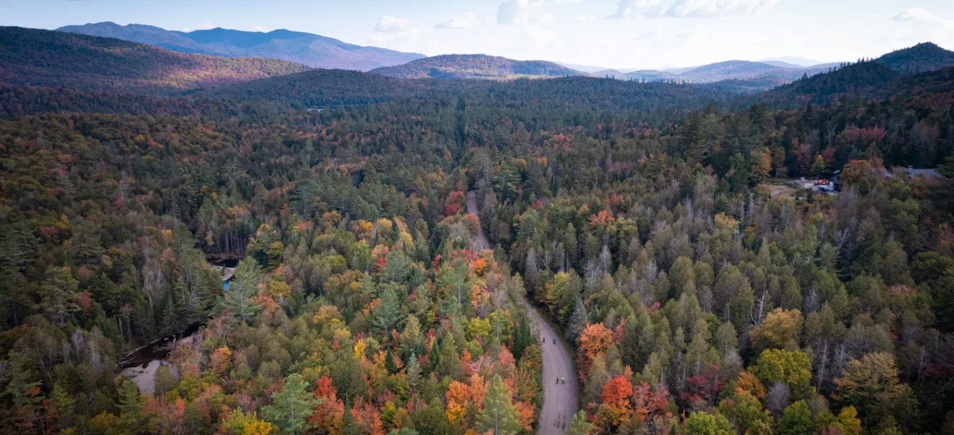 Road travelling through colourful forest