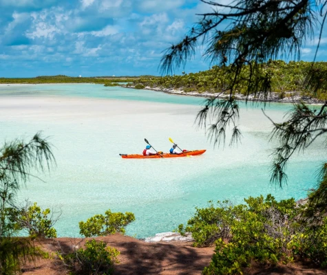Participants kayaking past greenery
