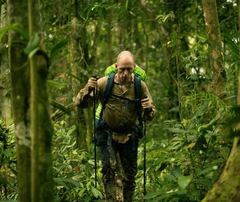 Man walking through jungle with trekking poles