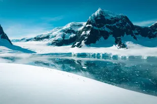 Antarctica Adventure _16