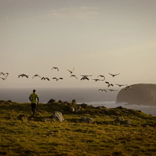 Man running along coast with birds flying above him