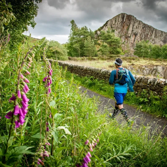 Man running past wall and greenery