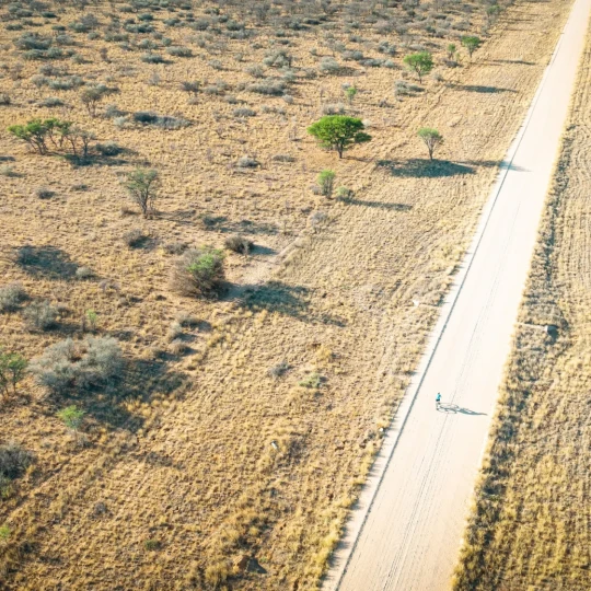 Woman cycling along road with sparse trees either side