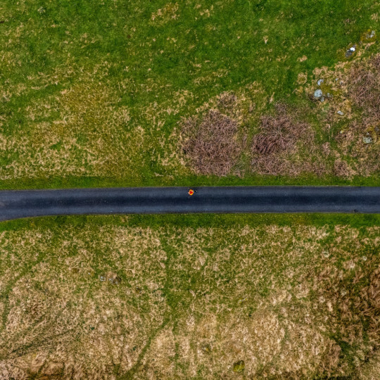 Aerial view of road with fields either side