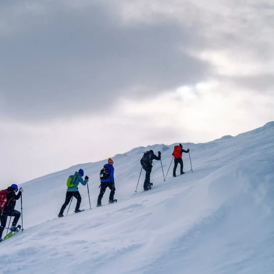 Five event participants in colourful clothing walking up a snowy hill using walking poles