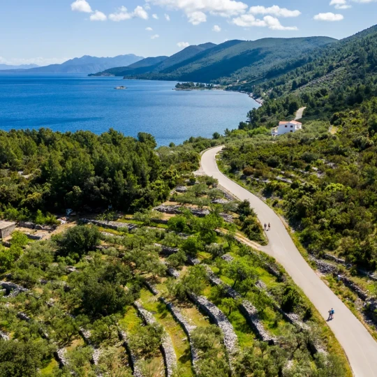 Participants running on a countryside road, through lush greenery with the sea in the background