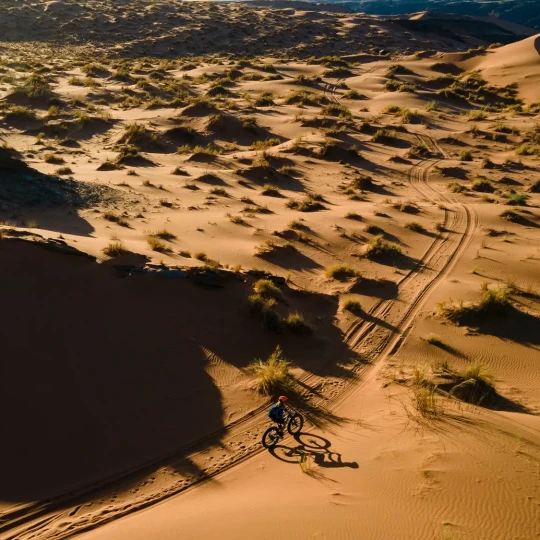 Cyclist riding over sandy and grassy path