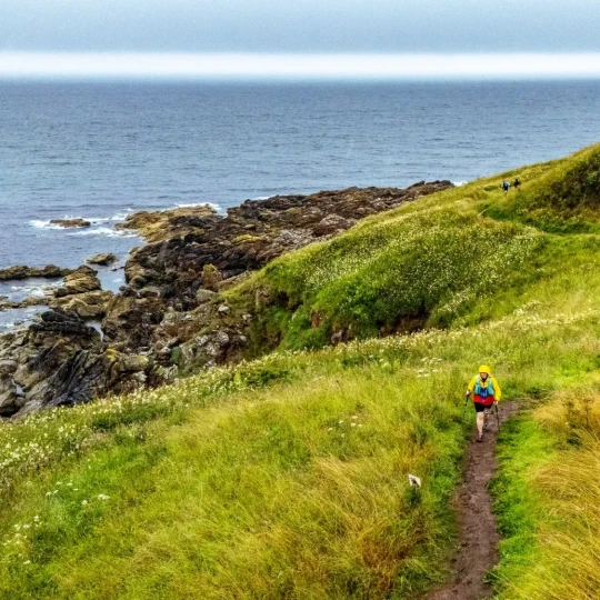 People walking along coastal path