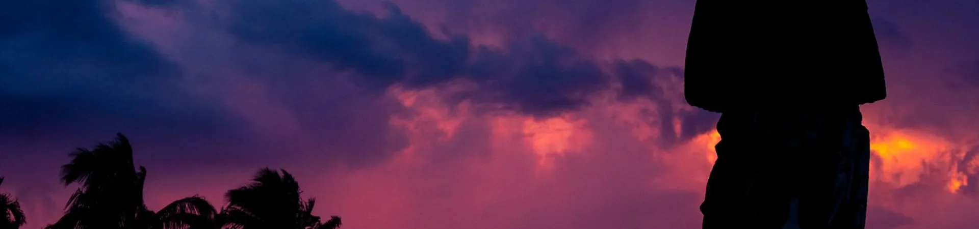 The silhouette of a statue stands against a dark, colourful sky, with palm trees visible in the background