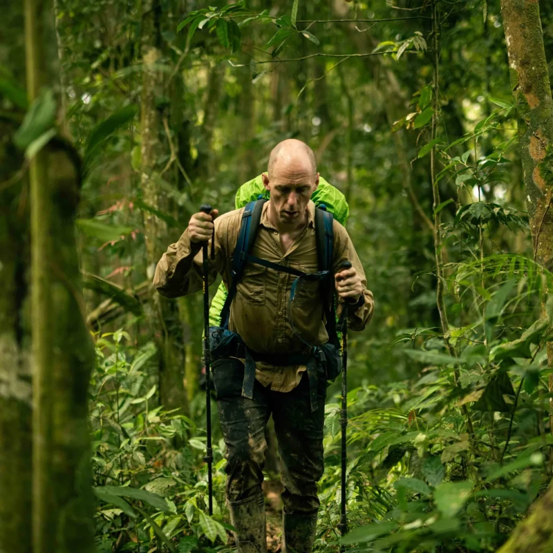Man walking through jungle with trekking poles