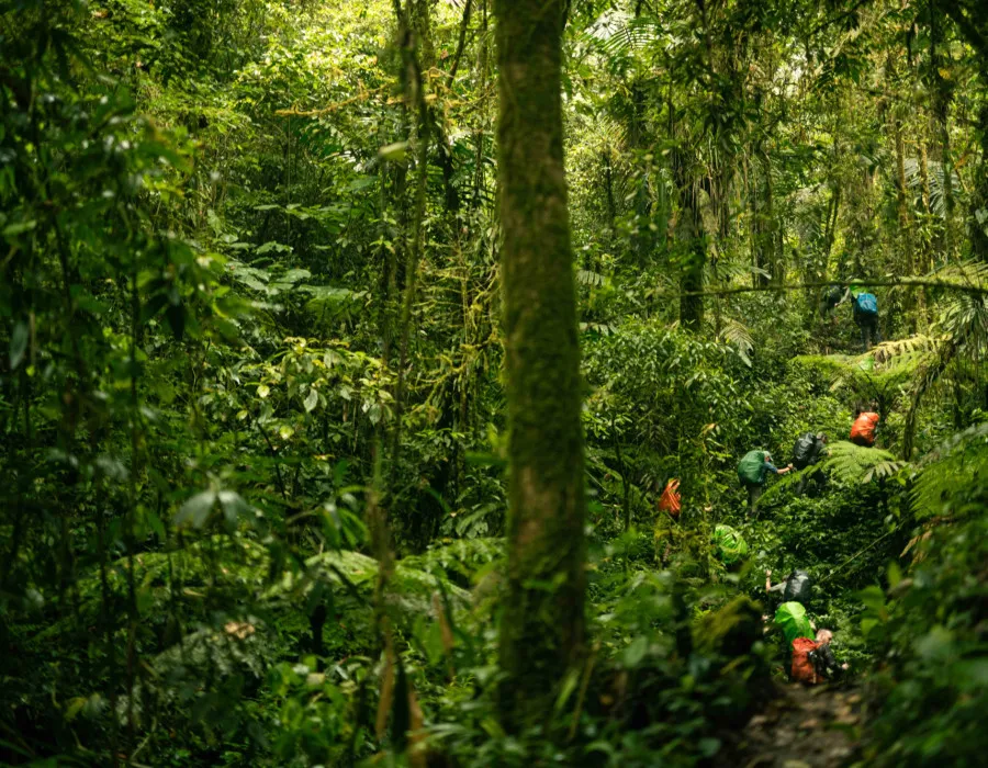Panama C2C_36