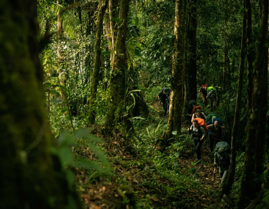 Panama C2C_37
