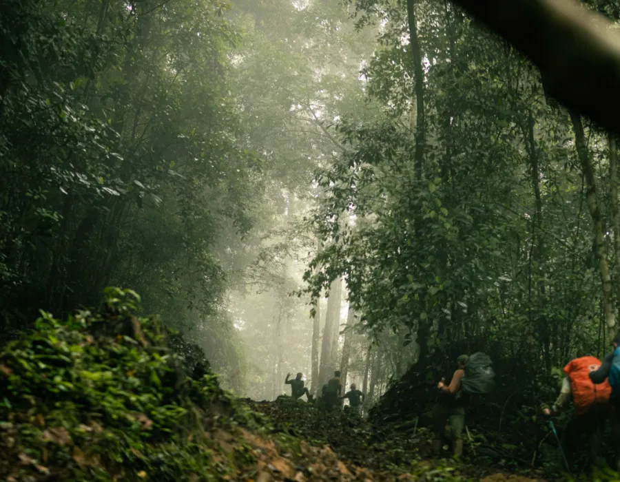 Panama C2C_53
