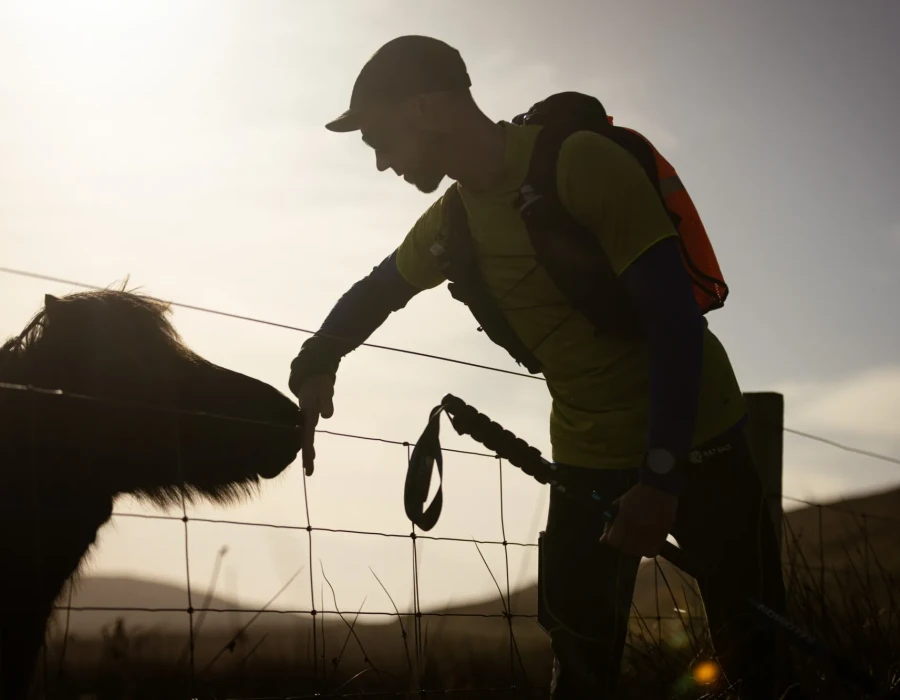 Man stroking pony