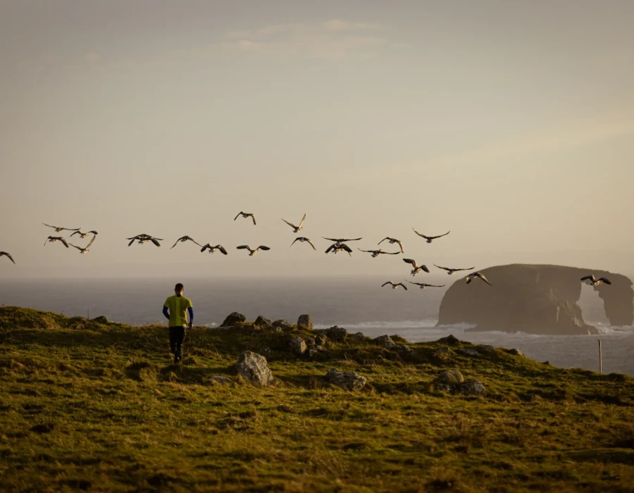 Man running along coast with birds flying above him