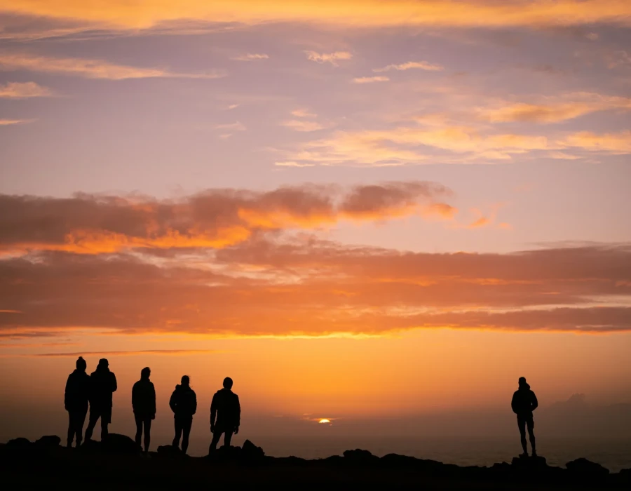 Silhouettes of participants looking out to colourful sky