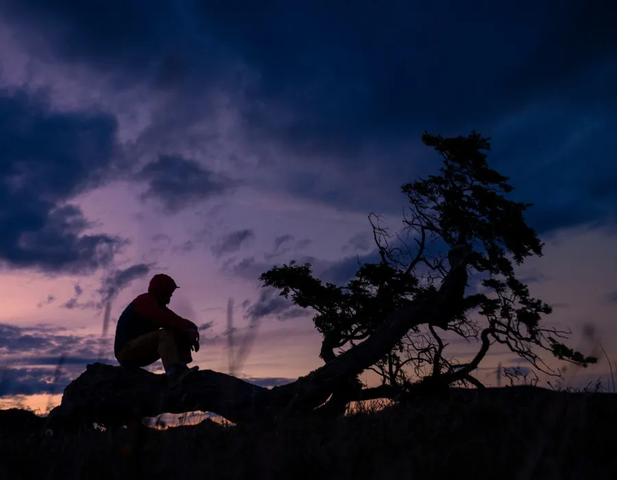Man sat on fallen tree beneath colourful sky