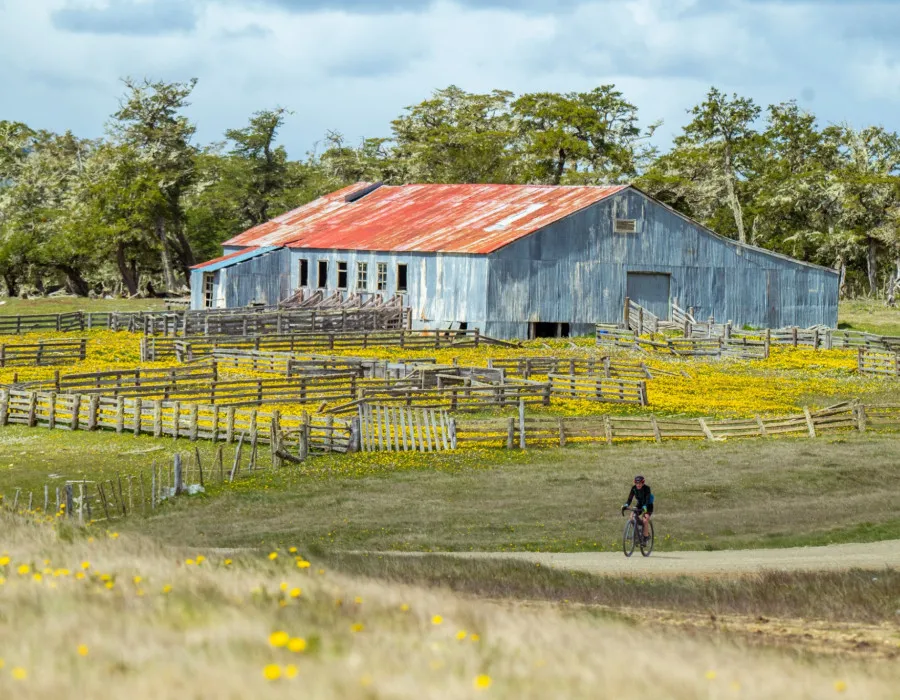 Cyclist riding past barn and farmland