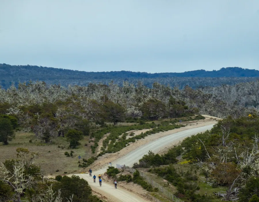 Cyclists riding along rocky track with forest in the distance