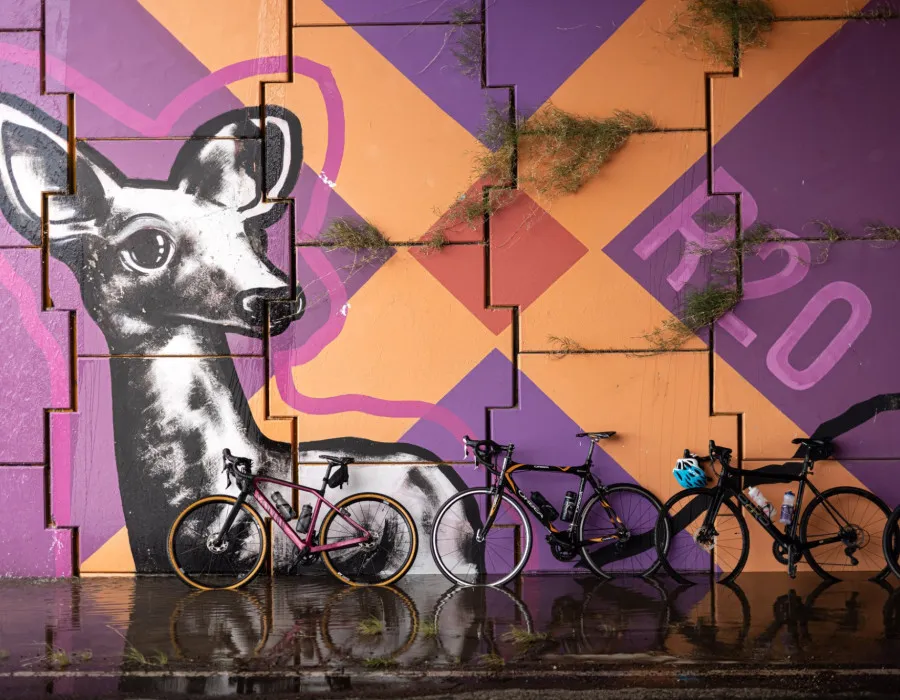Picture of animal on wall and bikes stood against it