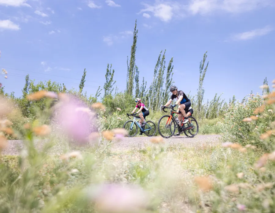 Cyclists riding along path surrounded by greenery and a sunny sky above