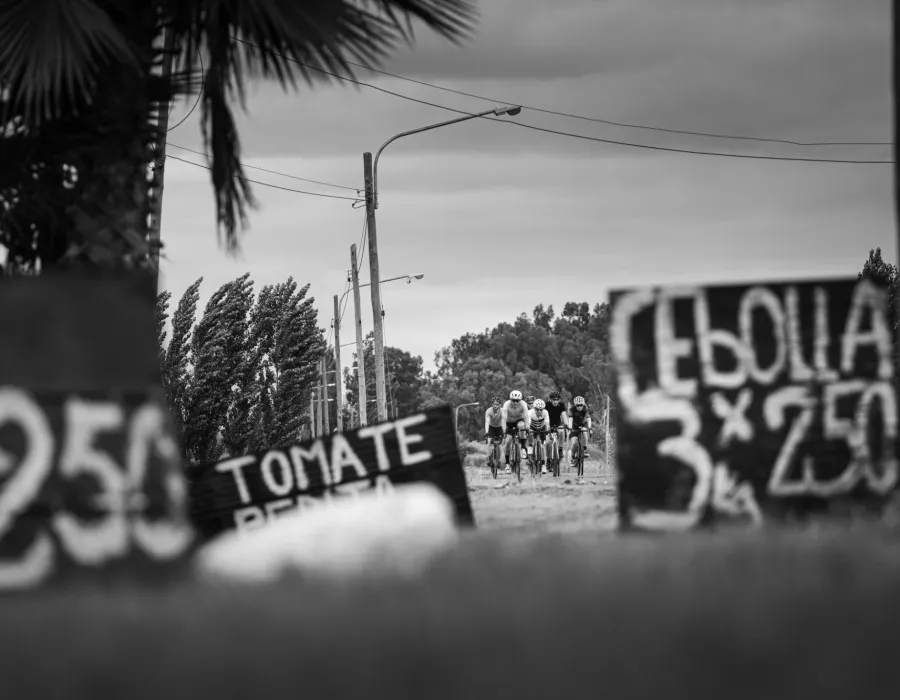 Cyclists riding towards signs