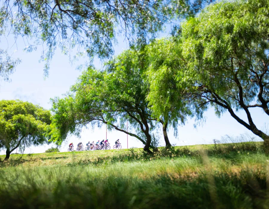 Cyclists riding past grass and trees