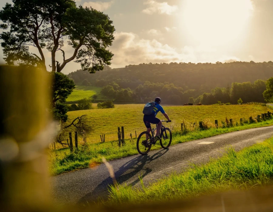Cyclist riding on sunlit road