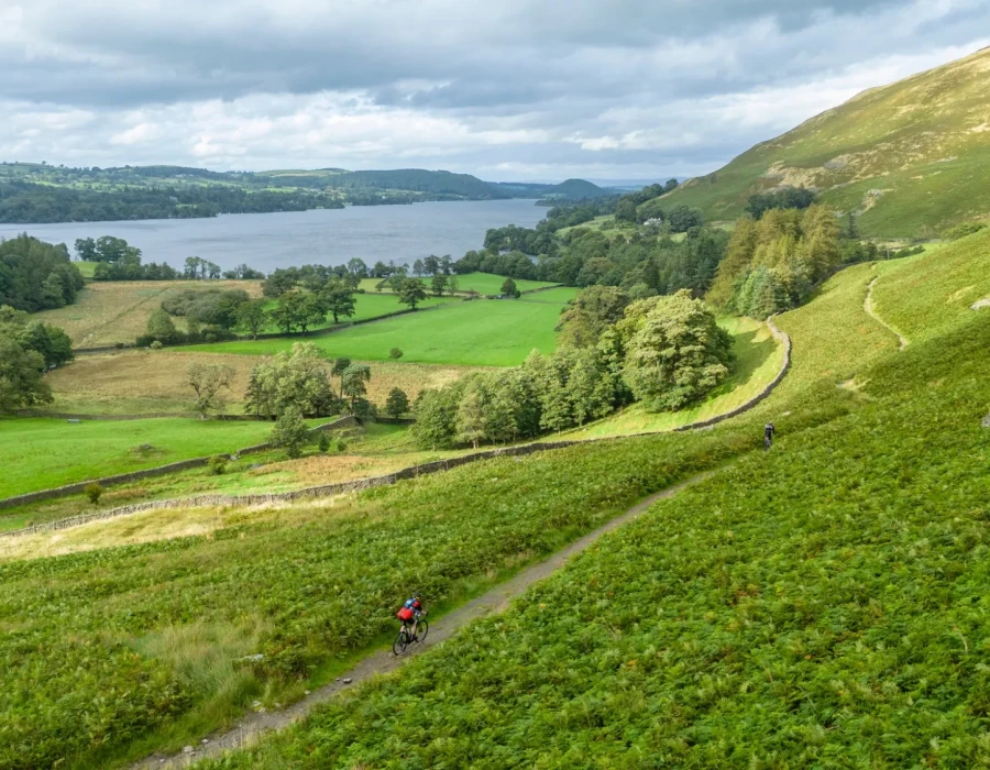 Cyclist riding on path surrounded by greenery and water in the distance