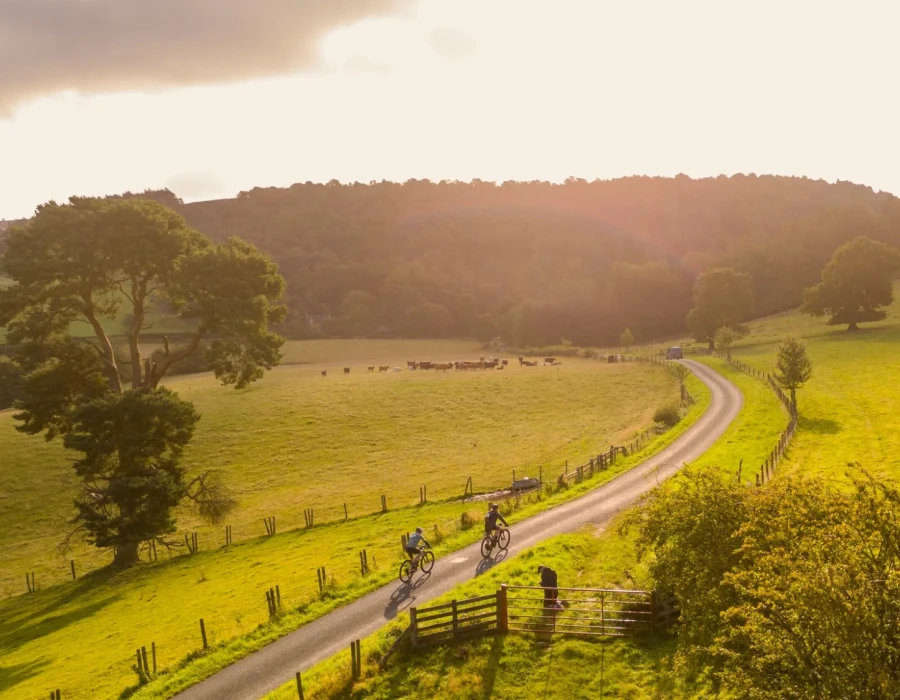 Cyclists riding along sunlit road