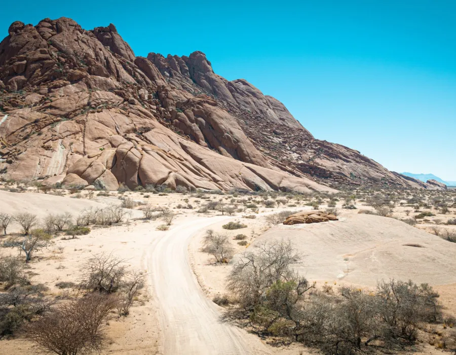 Rocky, dry ground and sparse bare trees