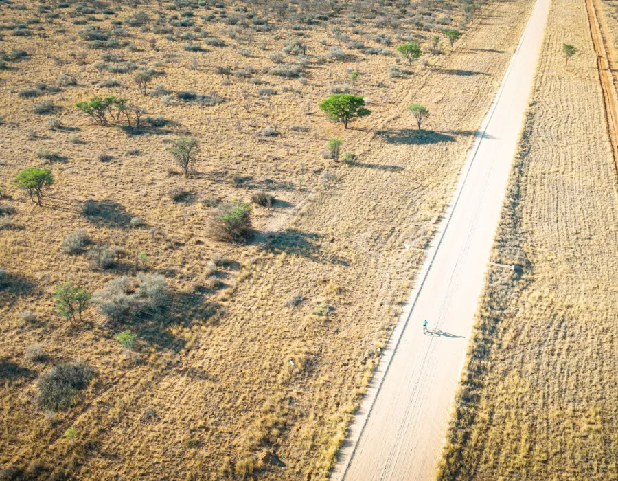 Woman cycling along road with sparse trees either side