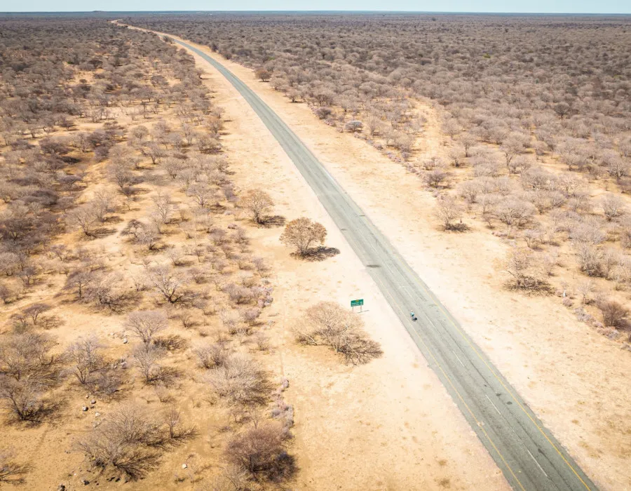 Road through desert and sparse trees