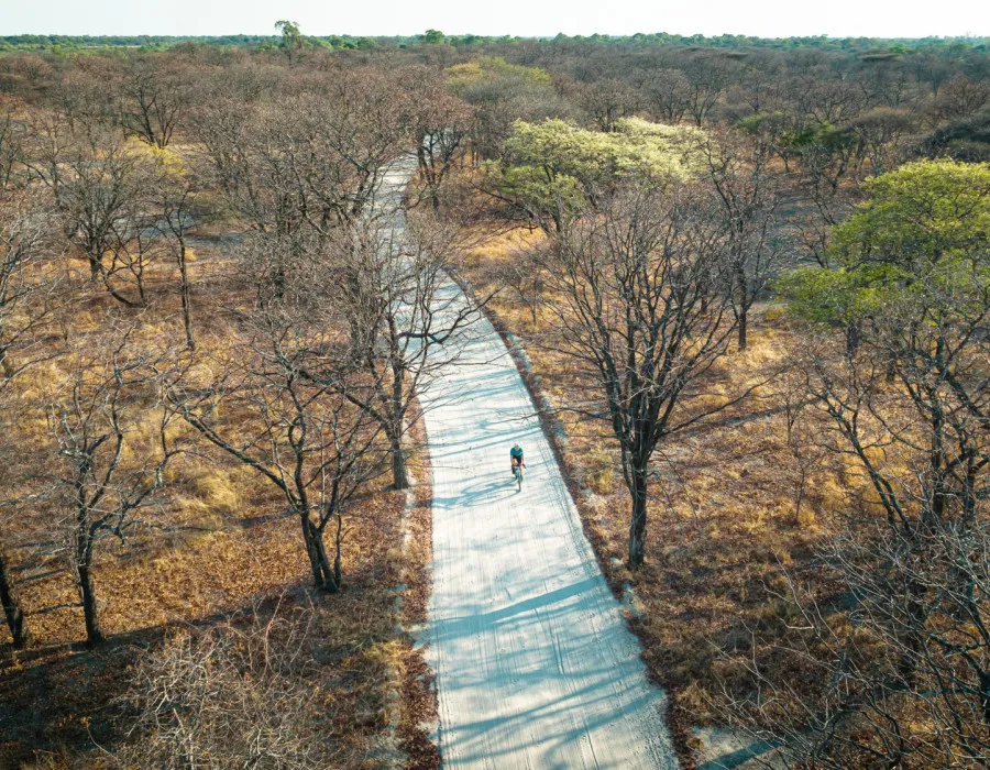 Cyclist riding along road surrounded by sparse trees