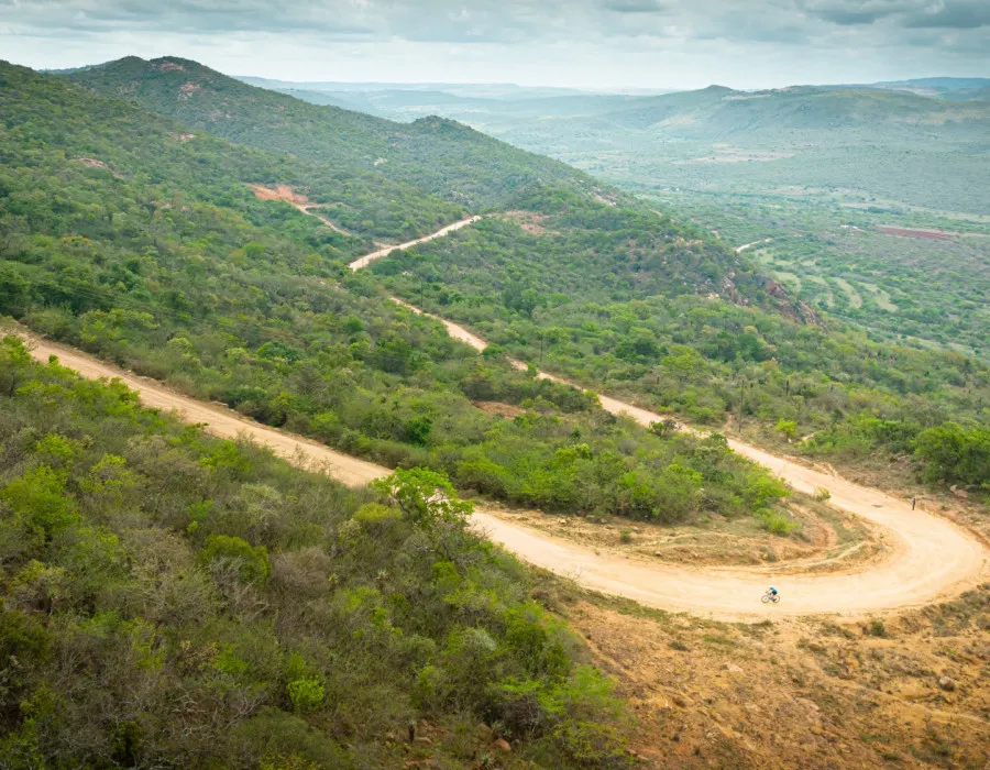 Winding, dusty road through trees