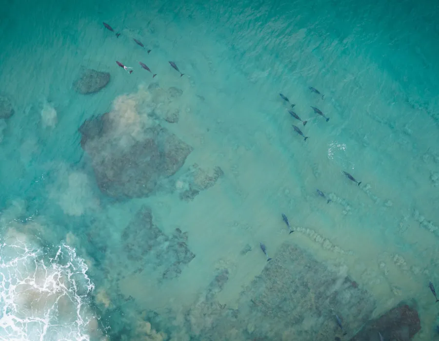 Aerial view of clear, blue water