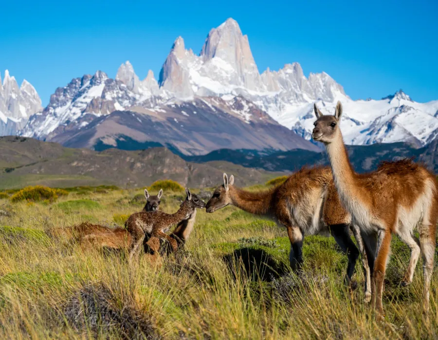 Patagonia_12
