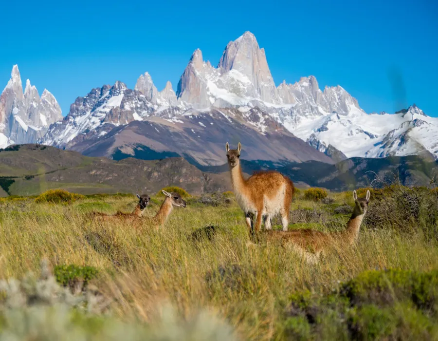 Patagonia_13